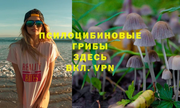 молекула духа Липки