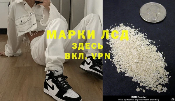 PSILOCYBIN Майский