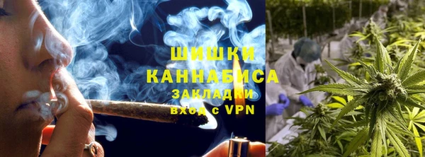 молекула духа Липки