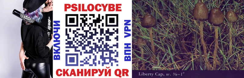 дарнет шоп  Афипский  Псилоцибиновые грибы Psilocybine cubensis 